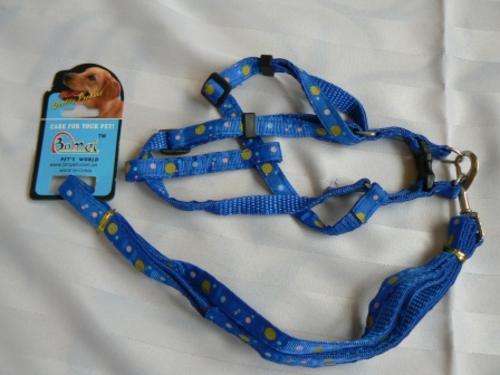 Functional and durable Nylon pet harness and leash for SMALL dogs (Blue)
