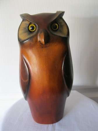 Beautiful Feathers of Knysna Owl