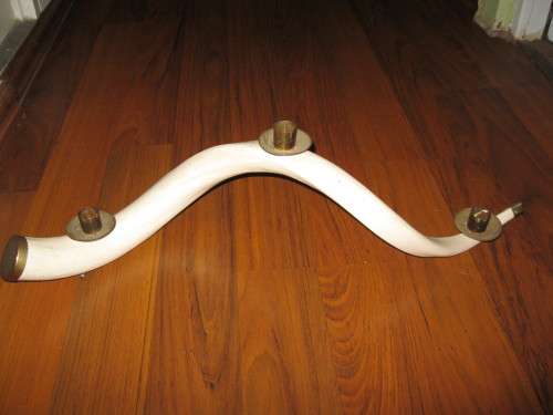 Horn Candelabra with Brass Fittings