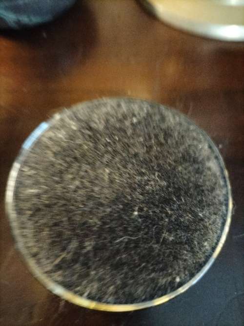 Hand Cast Glass Paperweight