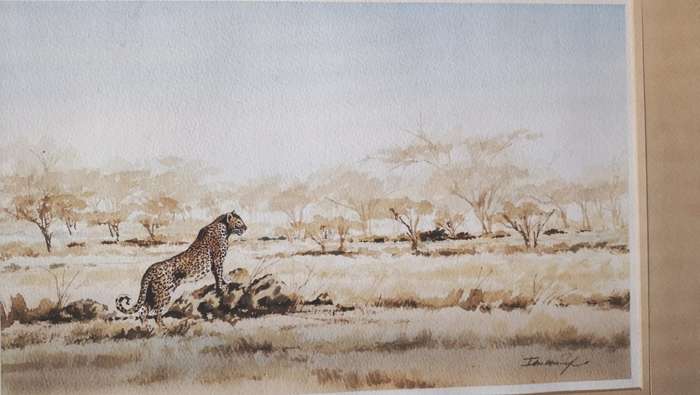 Ian van Zyl Framed Watercolour Painting of a Cheetah