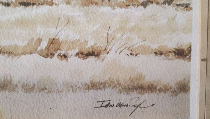 Ian van Zyl Framed Watercolour Painting of a Cheetah