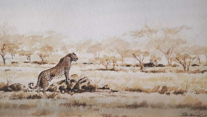 Ian van Zyl Framed Watercolour Painting of a Cheetah