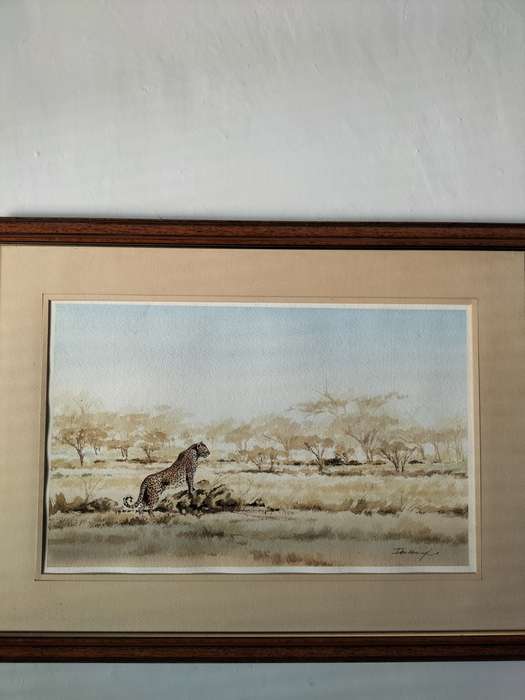 Ian van Zyl Framed Watercolour Painting of a Cheetah