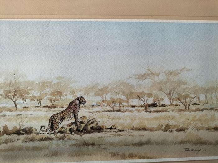 Ian van Zyl Framed Watercolour Painting of a Cheetah