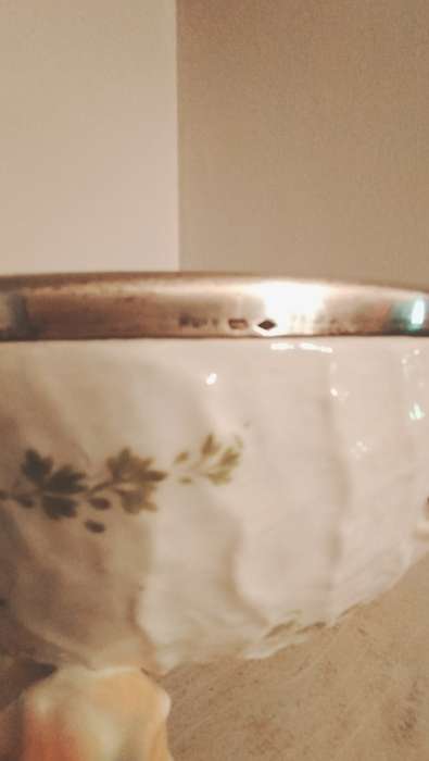 Musterschutz German Porcelain Bowl with Conch Shell Feet Hand Painted Fish & Silver Rim