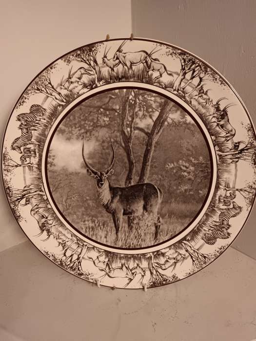 Royal Doulton SA series Waterbuck in Dark Brown & Black Rare