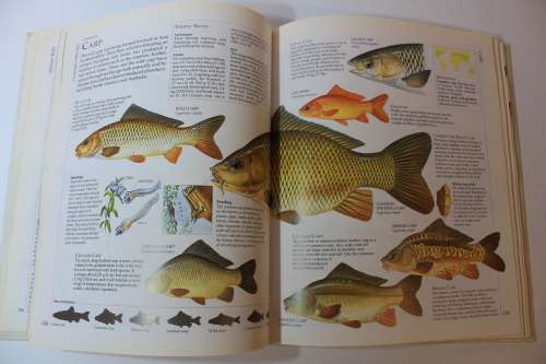 Encyclopedia of Fishing