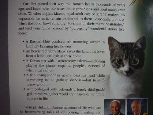 Chicken Soup for the Cat Lover's Soul