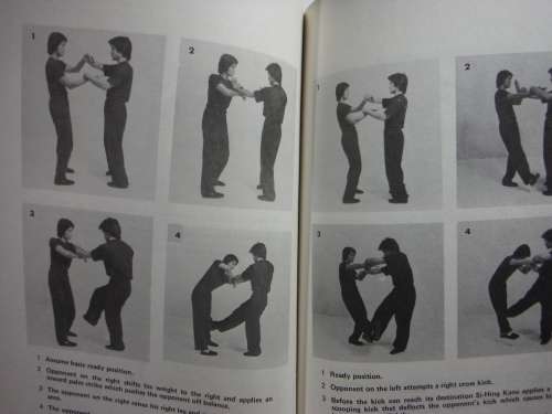 The Deceptive Hands of Wing Chun - Sifu Douglas Wong