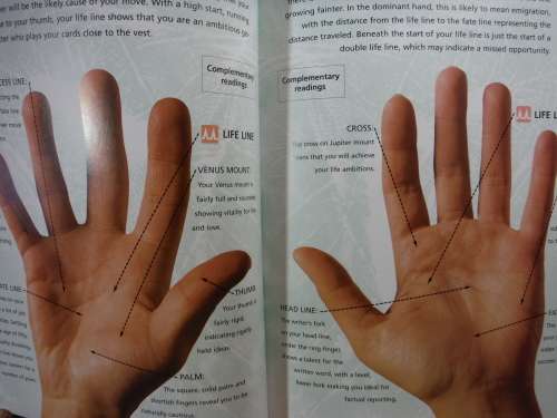 Palm Decoder : Read Your Palm and Foretell Your Future - Tre McCamley