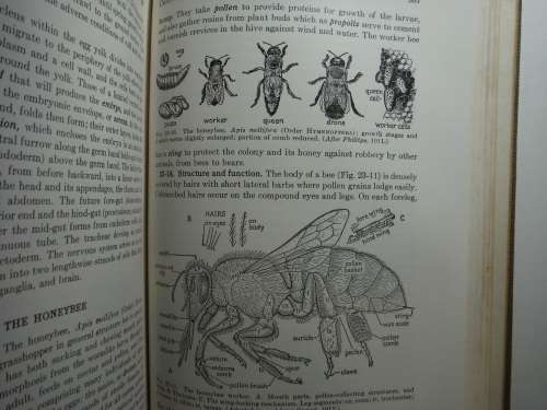Elements of Zoology - Hardcover - Tracy I. Storer and Robert L. Usinger - 1955