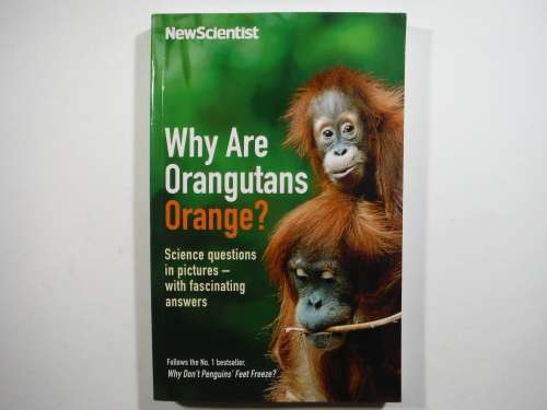 NewScientist : Why are Orangutans Orange? : Science Questions in Pictures - Paperback