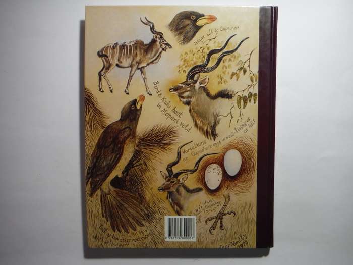 Jeff Huntly`s African Wildlife Sketches - Hardcover - 1990 First Edition