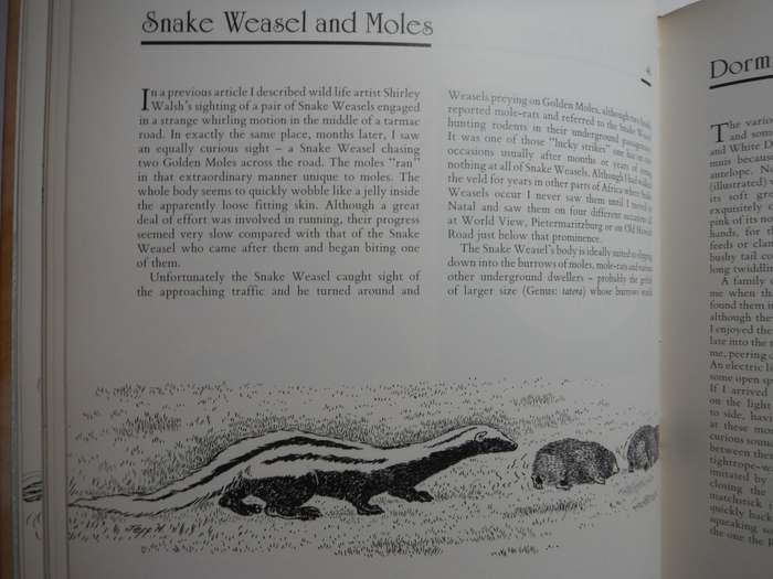 Jeff Huntly`s African Wildlife Sketches - Hardcover - 1990 First Edition