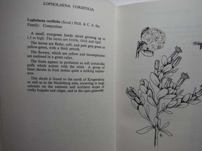 Trees and Shrubs of the Witwatersrand - Hardcover - Third Edition 1974