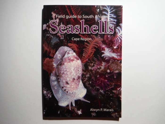 Field Guide to South African Seashells : Cape Region - Paperback - Alwyn P. Marais