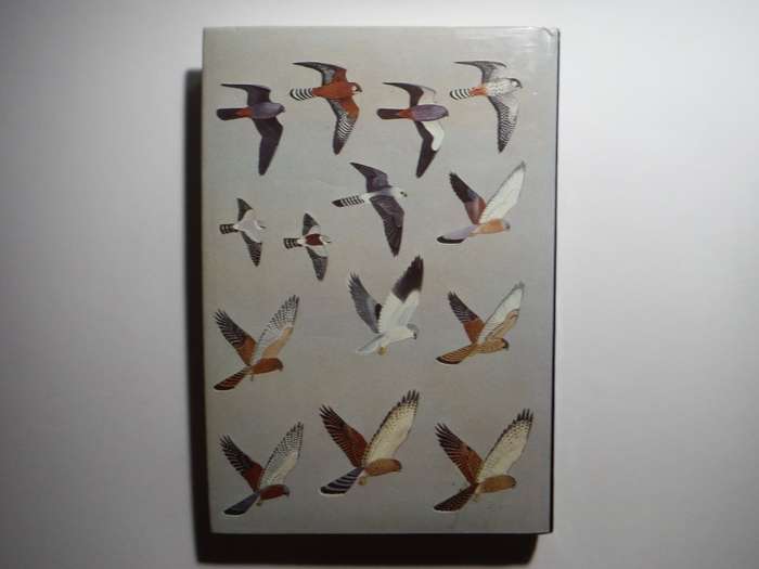 Birds of Prey of Southern Africa - Hardcover - Peter Steyn - 1985