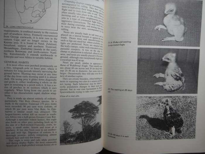 Birds of Prey of Southern Africa - Hardcover - Peter Steyn - 1985
