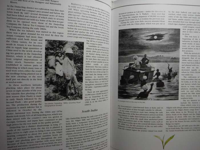 Tea - A Journey in Time : Pioneering and Trials in the Jungle - Hardcover - John Weatherstone