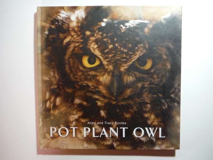 Pot Plant Owl - Hardcover - Allan and Tracy Eccles