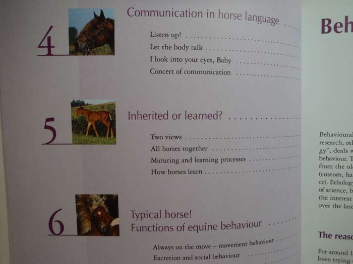 Horse Behavior Explained : Behavioural Science for Riders - Softcover - Angelika Schmelzer