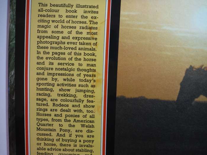 Best Loved Horses of the World - Hardcover - Peter McHoy - 1980
