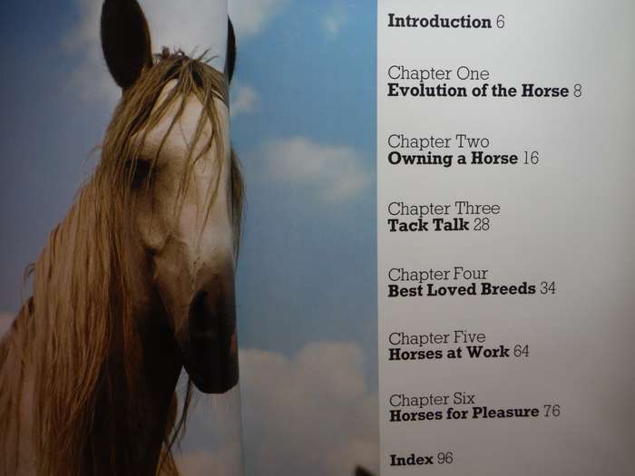 Best Loved Horses of the World - Hardcover - Peter McHoy - 1980