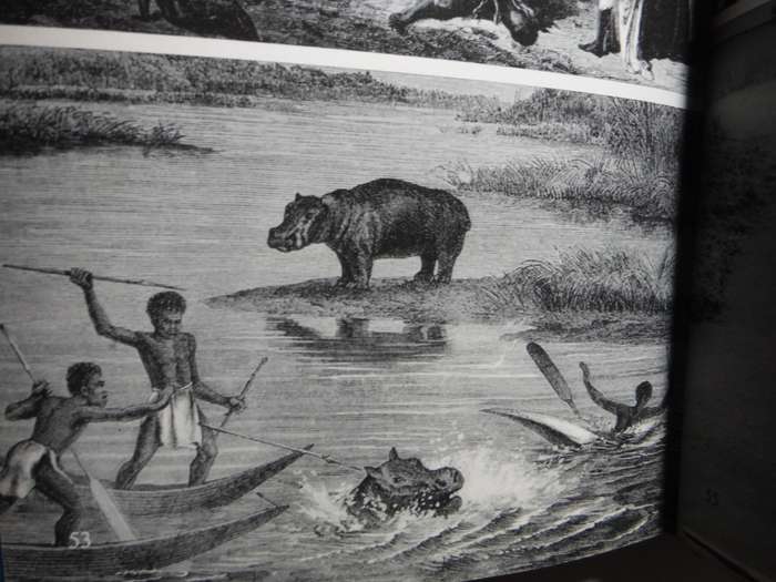 Southern Africa During the Iron Age - Hardcover - Brian Fagan - 1965