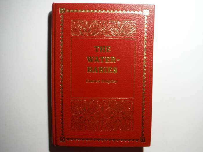 The Water-Babies - Hardcover - Charles Kingsley - 1988 Edition
