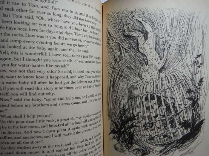 The Water-Babies - Hardcover - Charles Kingsley - 1988 Edition