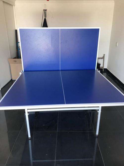 Liner Outdoor Lion Table Tennis Table
