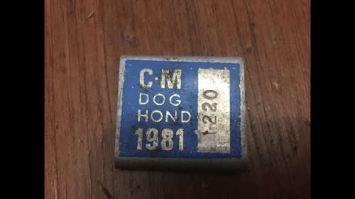Square Dog License C.M. 1981