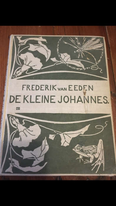 De Kleine Johannes - Frederik van Eeden - 1919