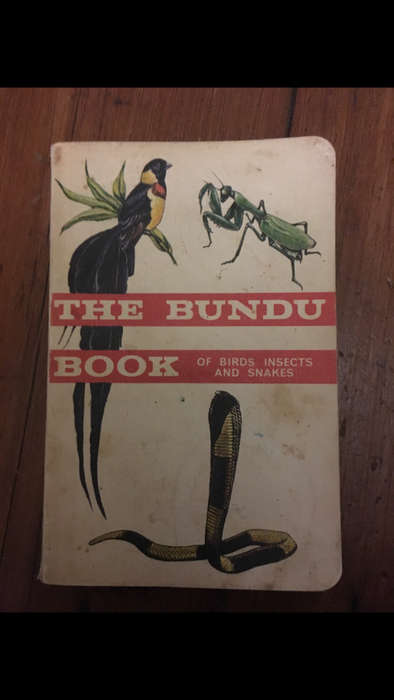 The Bundu Book of Birds Insects and Snakes