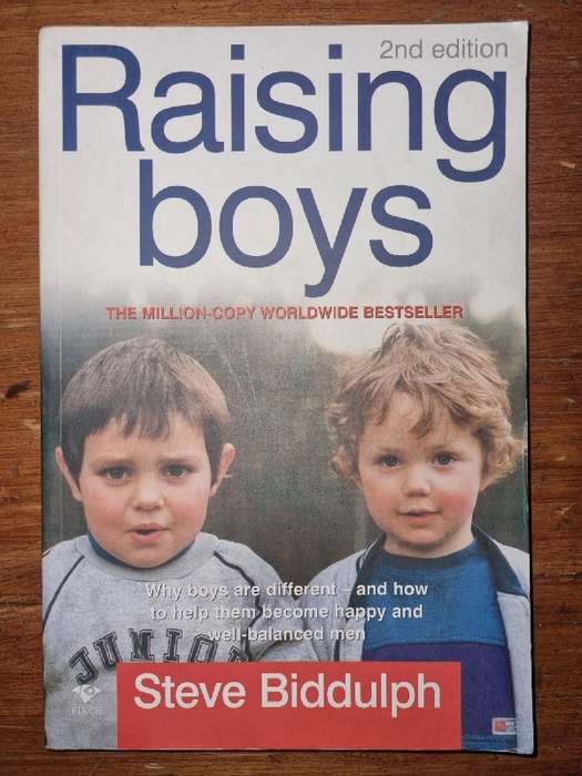 Raising boys - Steve Biddulph