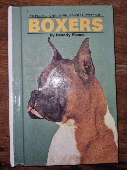 Boxers - Beverly Pisano