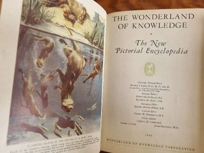 The Wonderland of Knowledge - A Pictorial Pageant - 1946