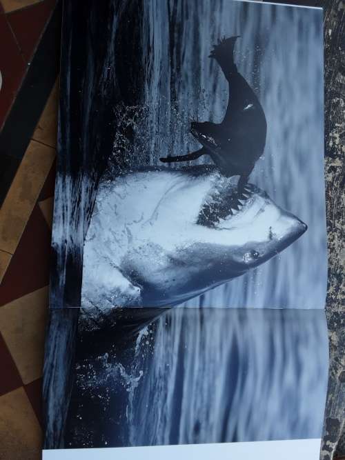 Encounter by David Yarrow