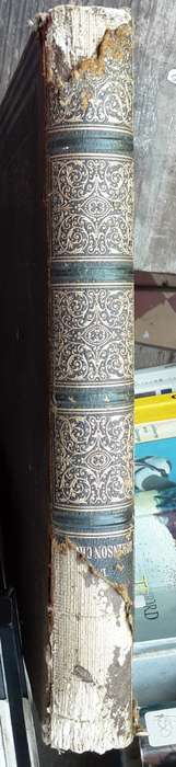Aventure of Robinson Crusoe traduites De Daniel De Foe **printed 1875 Text in French**