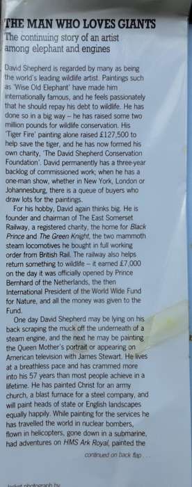 The Man Who Loves Giants by David Shepherd