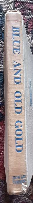 Blue and Old Gold A Selection of Stories from The Outpost, Regimental Magazine of BSAP
