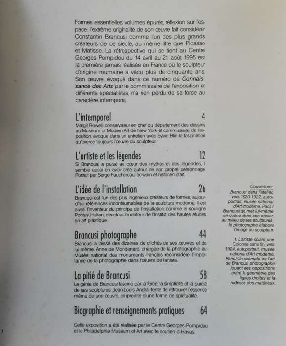 Brancusi **text in French**