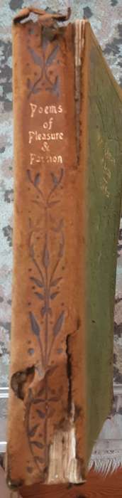 Poems of Pleasure and Passion by Ella W Wilcox **published 1910**