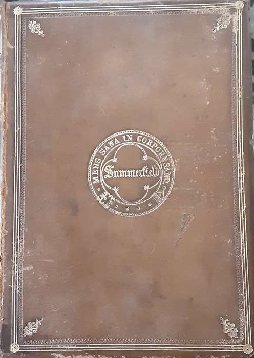 Stories From Homer by Rev Alfred J Church 1878