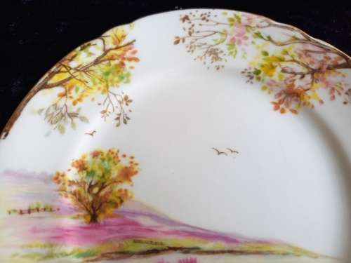 Shelley Side Plate (Old Ireland)