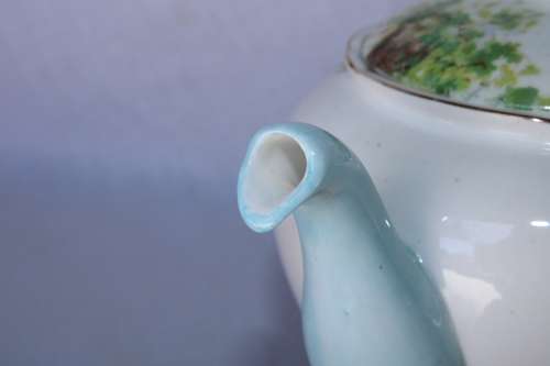 Stunning Shelley Woodland Tea for Two Teapot
