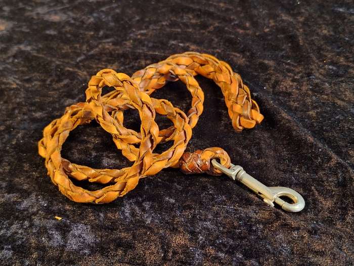 Braided Leather Dog Leash