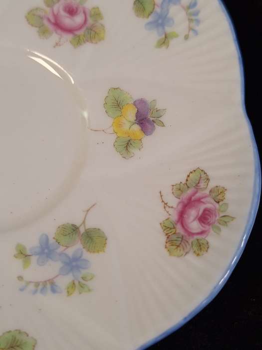 Shelley - Forget me not Coffee Saucer - Rd-272101/13424 - C.
