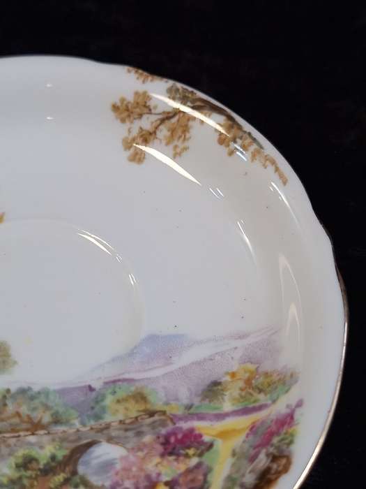 Shelley - Heather Coffee Saucer - 0187 - B.